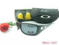 acheter sunglasses oakley 2013 lentille beau oakley good-9109